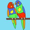 parrots