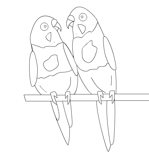 Index of /coloring/parrotsimages