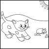 cat and mouse
